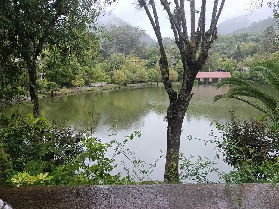 Ruta Sierra Juárez: Bosques y Cunas de la Historia 2